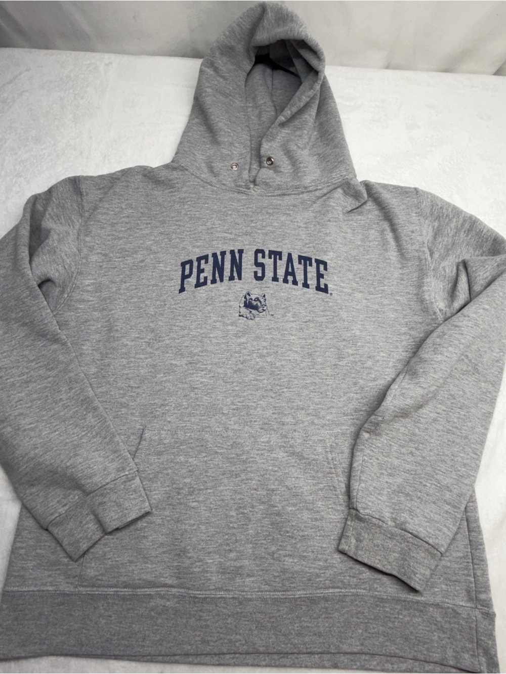 vintage penn state university Gray Hoodie Size Larg Made In USA